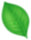 Image Not Found